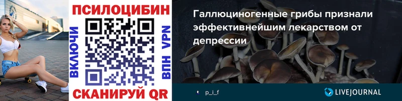 наркота  Исилькуль  Галлюциногенные грибы ЛСД 